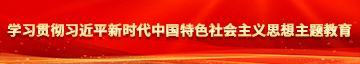 大鸡吧艹学习贯彻习近平新时代中国特色社会主义思想主题教育